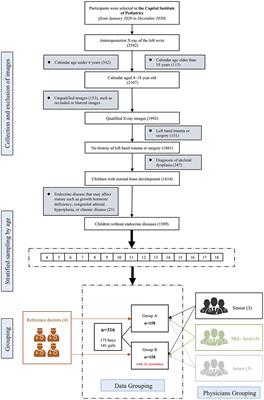Artificial Intelligence–Assisted Bone Age Assessment to Improve the Accuracy and Consistency of Physicians With Different Levels of Experience